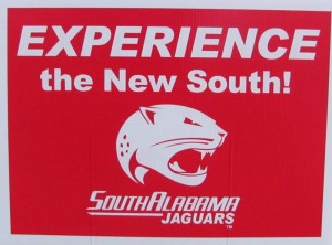 2011 Yard Sign
