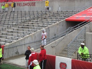 Gibbon looks out of the tunnel