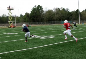 Bryant Lavender Touchdown