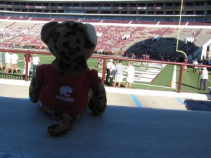 South Paw watches warmups at Davis-Wade Stadium in Starkville, MS in 2012.